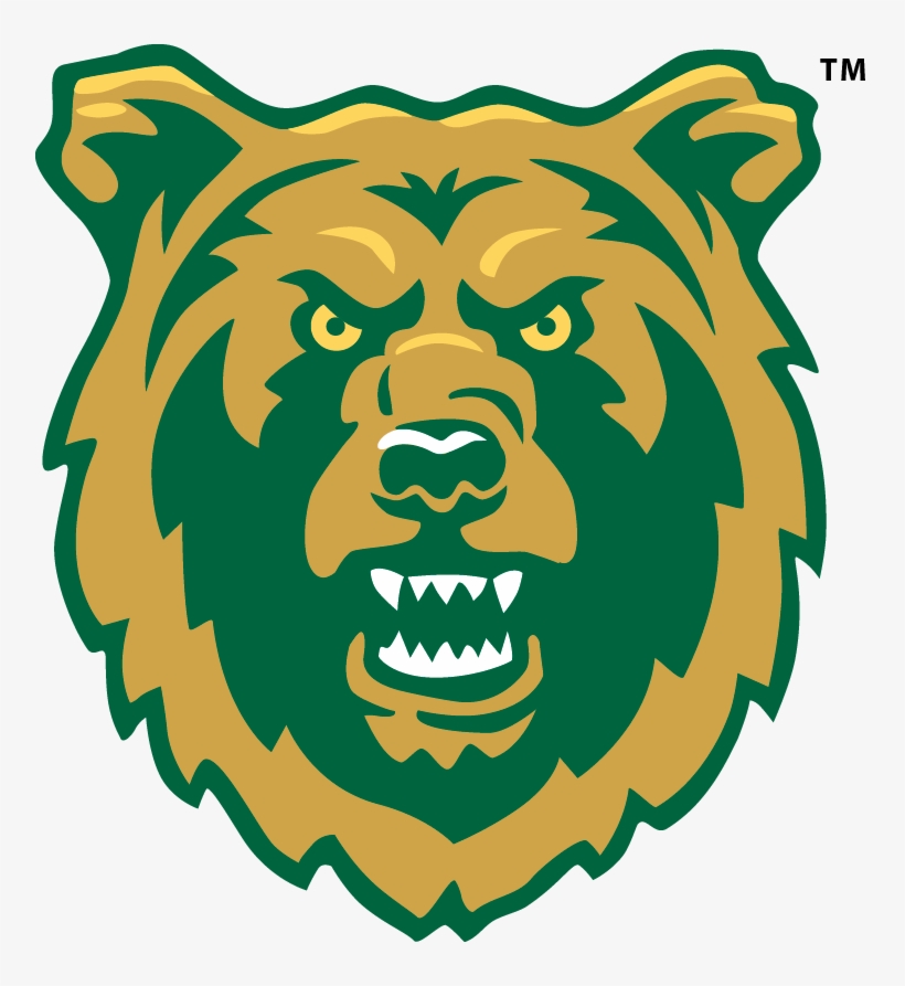 Rocky Mountain College Bear, transparent png #4178308