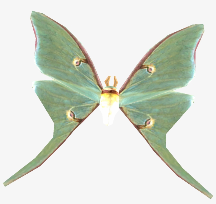 Skyrim Luna Moth Wing, transparent png #4178329