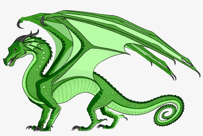 Wings Of Fire Dragons, Cool Dragons, Fire Fans, Cymru, - Wing Of Fire Rainwing, transparent png #4178689