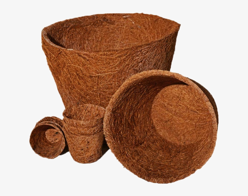 Coir Pot, transparent png #4179098