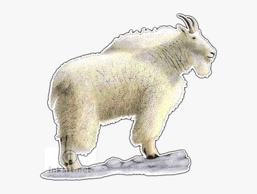Mountain Goat Png Download - Mountain Goat, transparent png #4179258