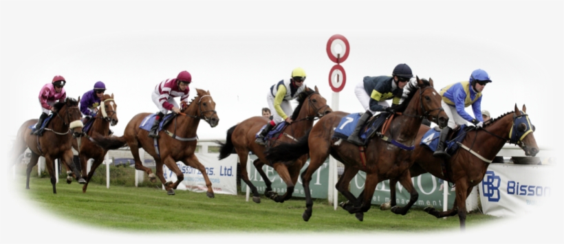 Jersey Race Club Horse Racing Dates - Flat Racing, transparent png #4179314