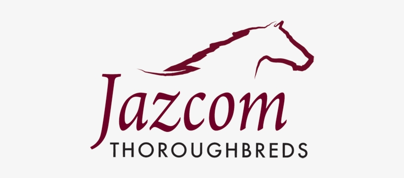 Jazcom Provides Horse Spelling And Rehabilitation, - Real Estate, transparent png #4179359