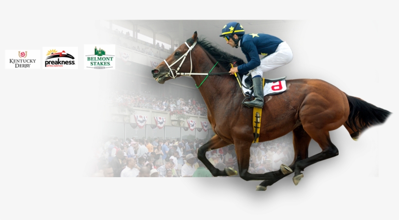 Cusiconage - Belmont Stakes, transparent png #4179411