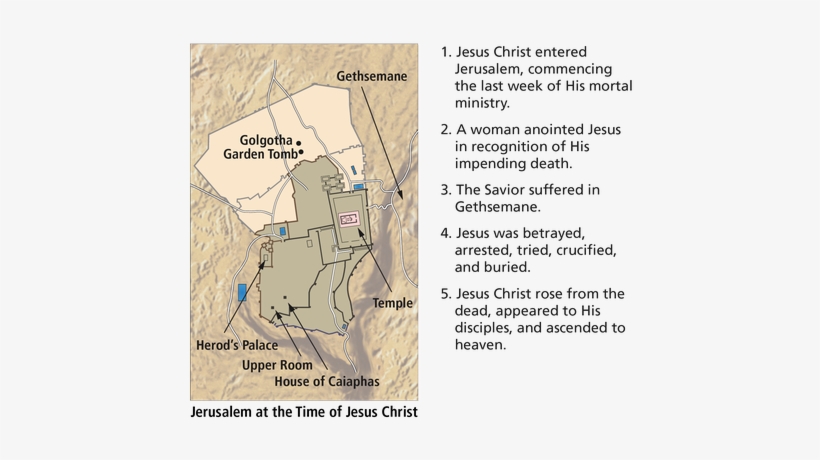 Lesson 14 Timeline - 5 Key Teachings Of Mark Gospel, transparent png #4179523