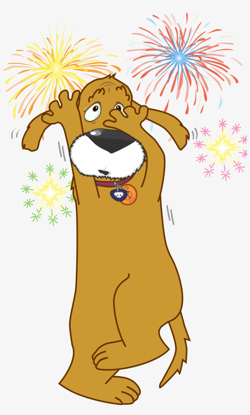 Riley Fireworks - Don T Fire Crackers, transparent png #4179633