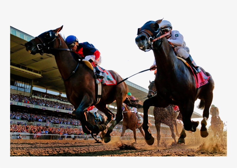 Championship Racing - Horse Racing Black And White, transparent png #4179867