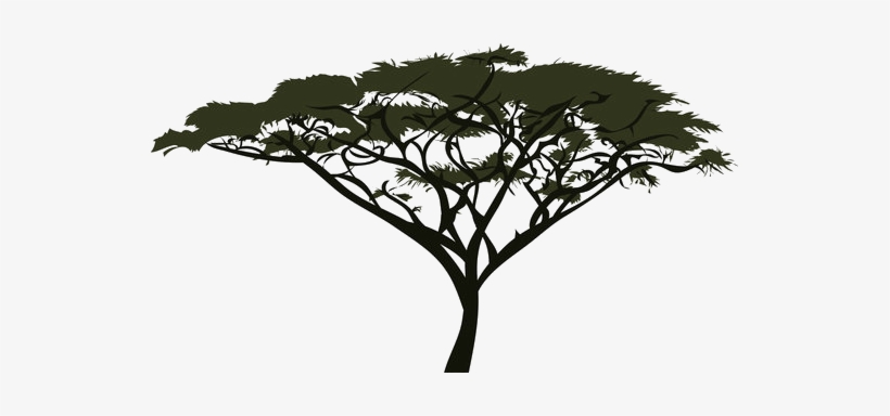 Submit - Acacia, transparent png #4179870