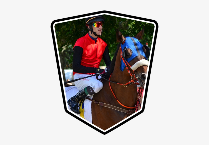 Gallop Horse Racing And Working Equipment & Accessories - Gallop, transparent png #4179933