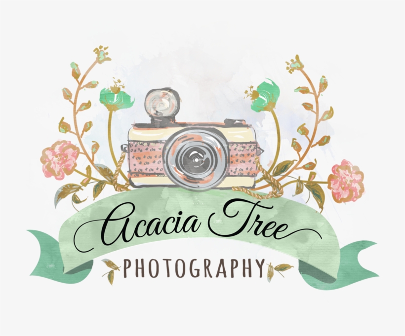 Acacia Tree Png, transparent png #4180019