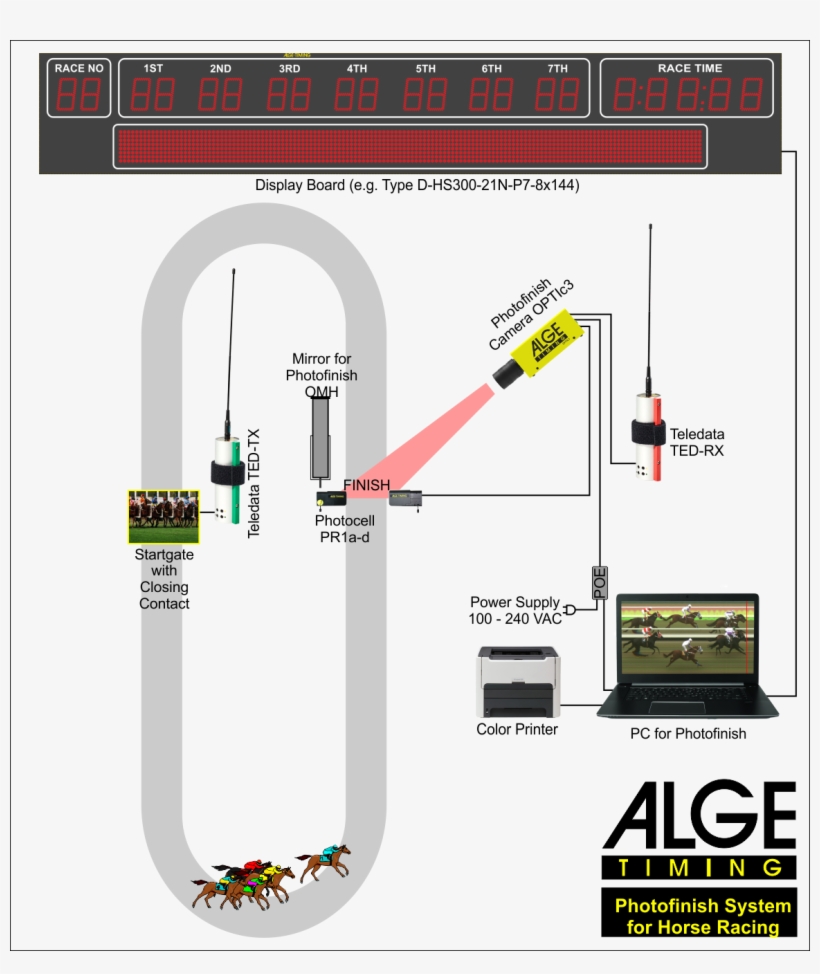 Photofinish For Galop - Alge Timing, transparent png #4180021