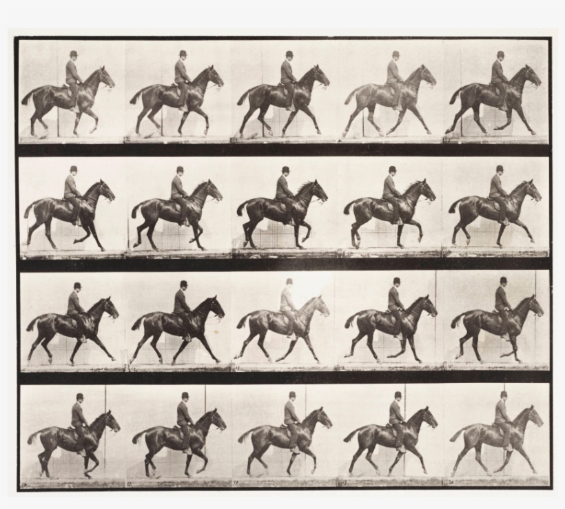 History Of Horse Racing, transparent png #4180078
