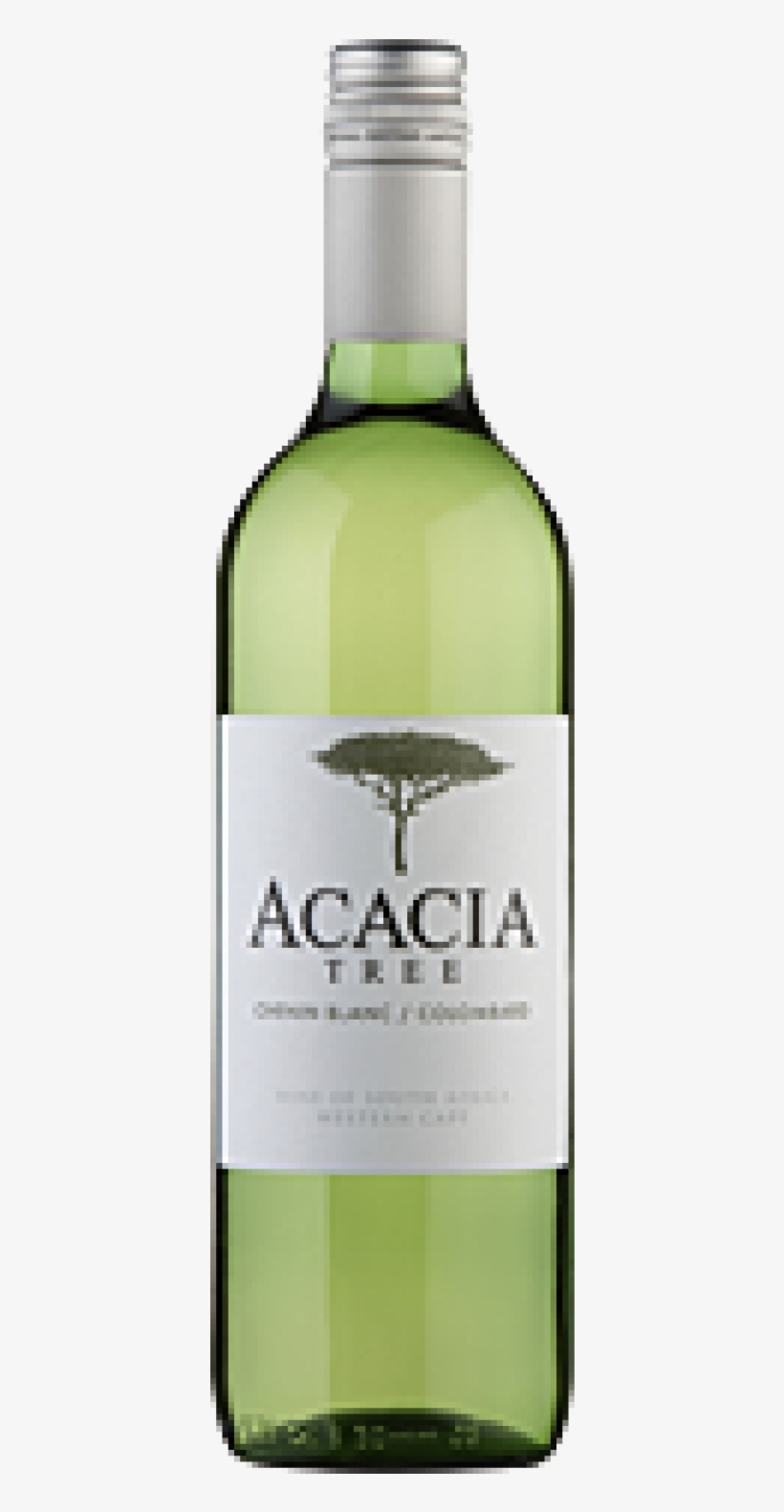 Acacia Tree Chenin Blanc - Tangled Tree Tropical Sauvignon Blanc, transparent png #4180221