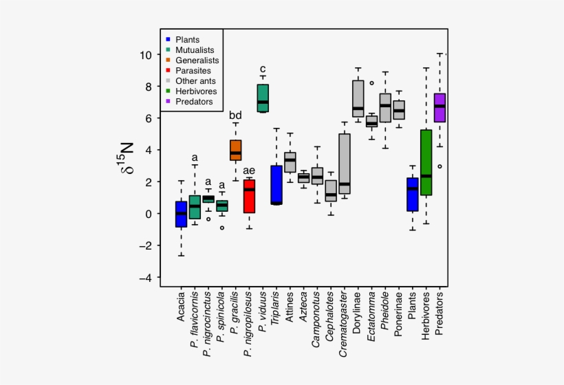 Bacterial Symbionts In Plant-ants - Diagram, transparent png #4180242