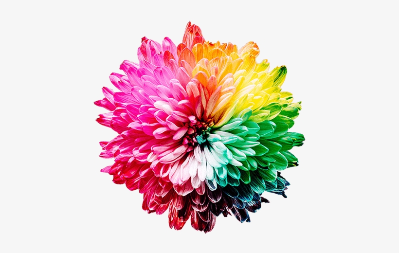 Single Mum With A Rainbow Of Colors - Importance Of Colour, transparent png #4180368