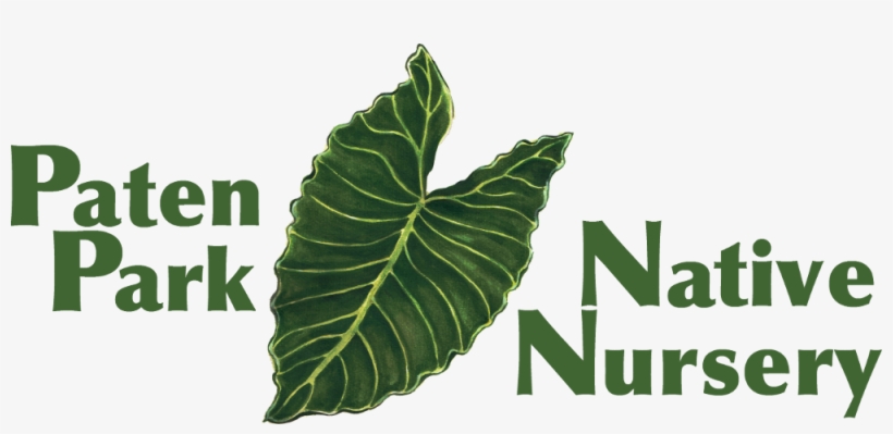 Paten Park Native Nursery, transparent png #4180441