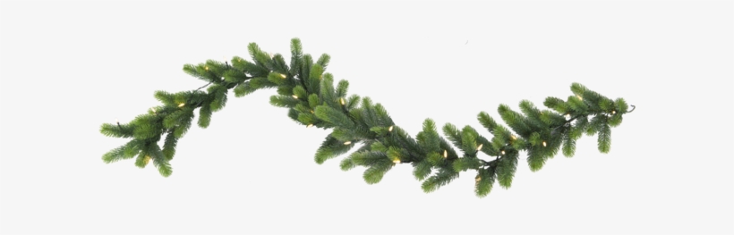 Garland Orsa - Star Trading Girland Orsa 40 Led 2 Meter, transparent png #4180515