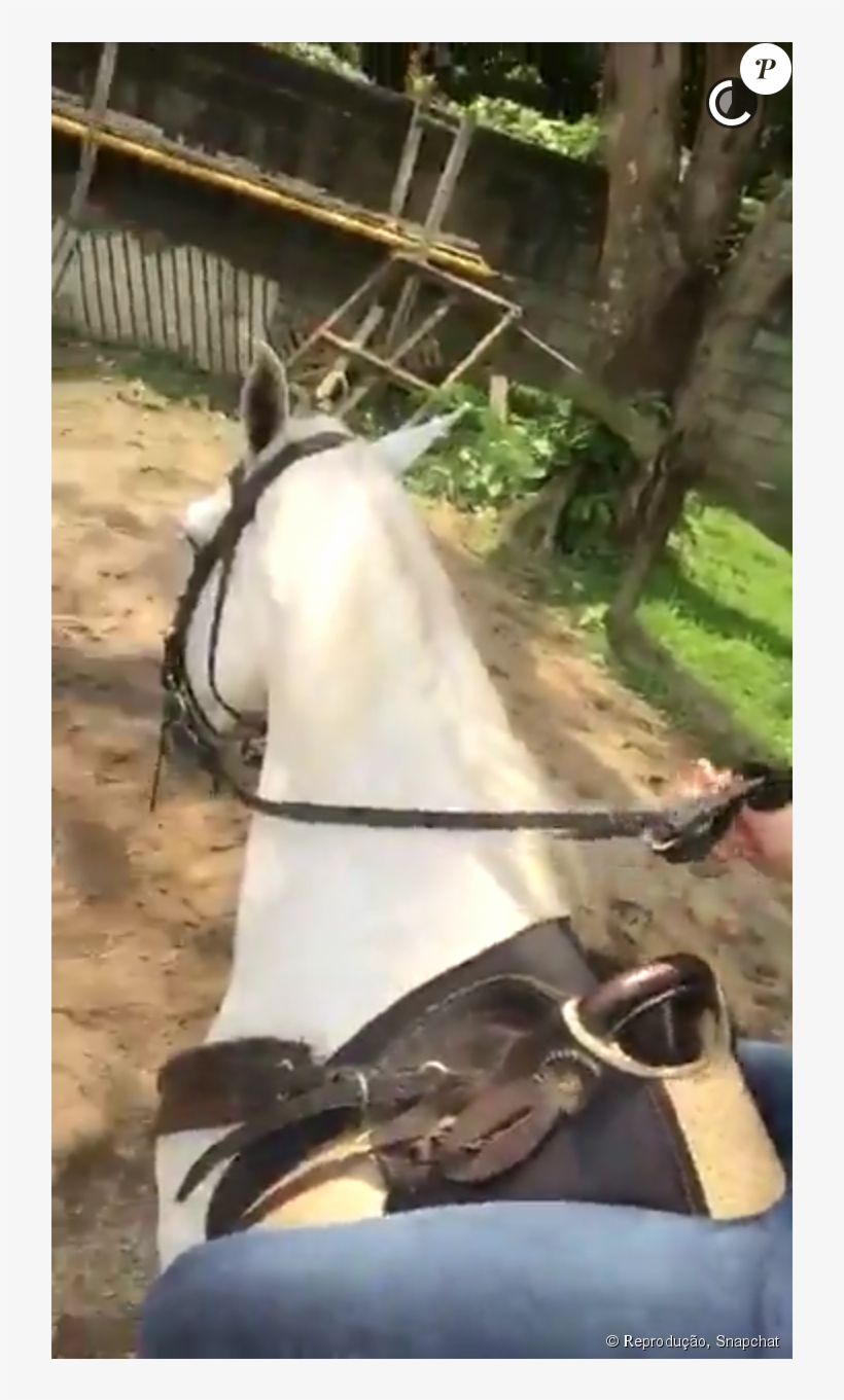 Atriz Fez Amizade Com Cavalo - Horse, transparent png #4180911