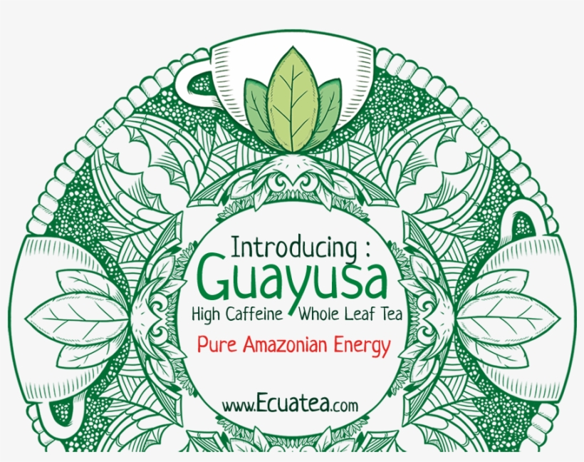 Join The Ecuateavolution - Ilex Guayusa, transparent png #4180968