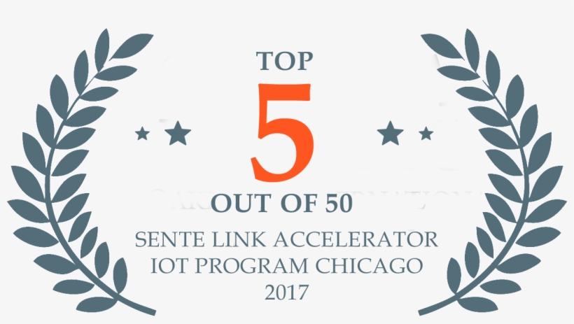 Top - Film Festival Laurels, transparent png #4181428