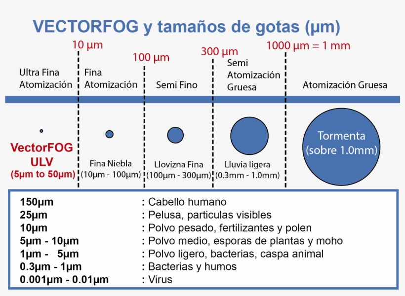 Comparativo Tañaños De Gotas - Tamaño De Las Gotas De Lluvia, transparent png #4182023