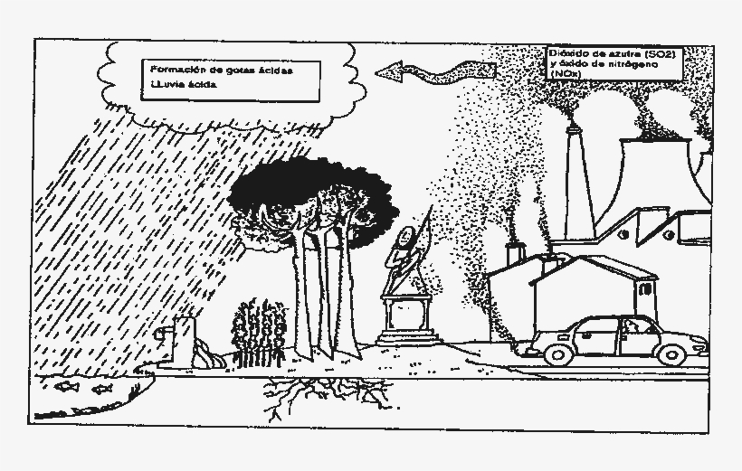La Lluvia Acida - Lluvia Acida Para Colorear, transparent png #4182517