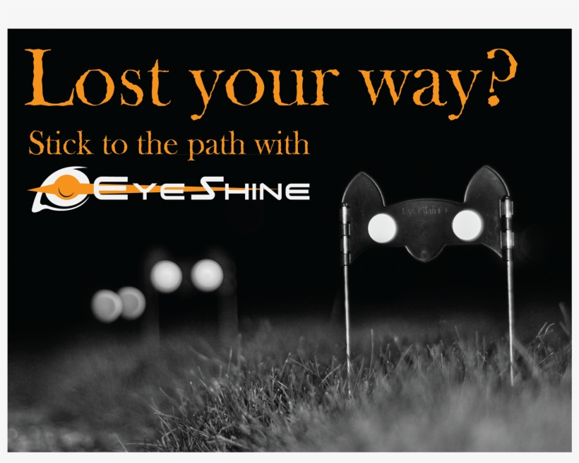 Resembled The Effect And Utility Of The Product, So - Steward Health Care, transparent png #4182631