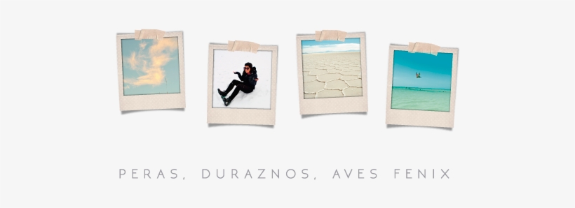 Picture Frame, transparent png #4183171