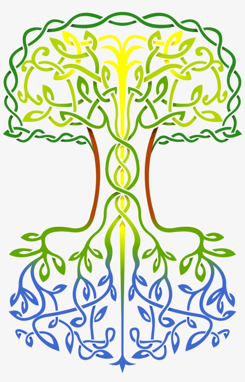 May 4, 2014 From - Tree, transparent png #4183266