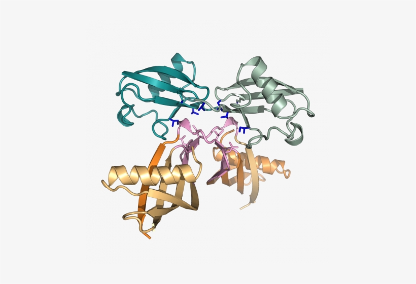 Crystal Structure Of K6-affimer Protein Bound To K6 - Crystal Structure, transparent png #4183385