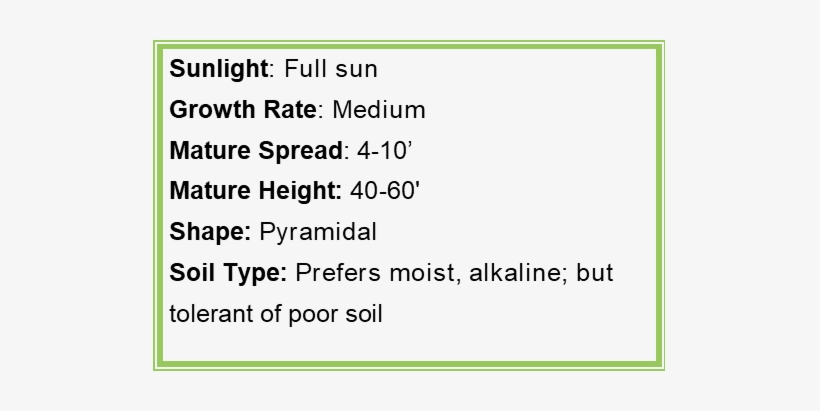 Jquery Progress Bar, transparent png #4184490