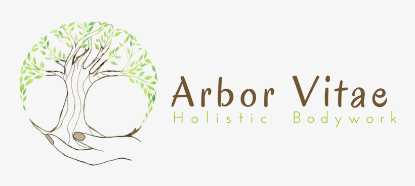 Arbor Vitae Holistic Bodywork, transparent png #4184494