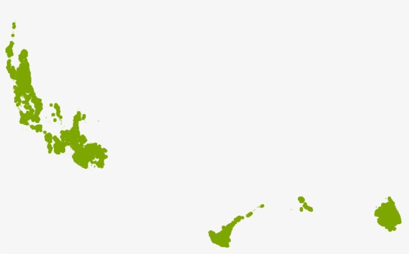 Berkmans Golden Arborvitae Grows Well In Zone 9b - Loropetalum, transparent png #4184716