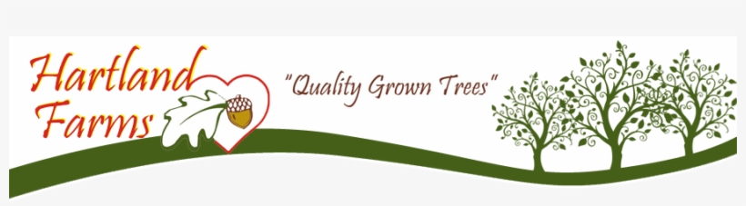 Quality Grown Trees - Blue Stripes Hanukkah Square Stickers, transparent png #4184764