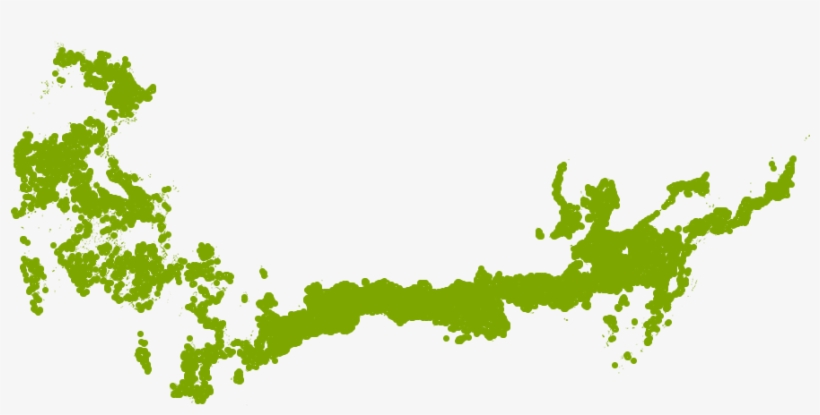 Fire Chief Arborvitae Grows Well In Zone 6a - Pattern, transparent png #4185015