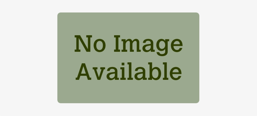 Thuja Occidentalis Nigra, Dark Green Arborvitae - Engage, transparent png #4185237