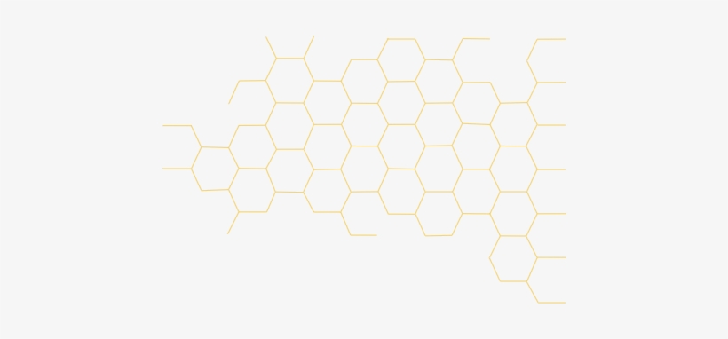 Team & Advisors - Bee Nest Pattern Png, transparent png #4186661