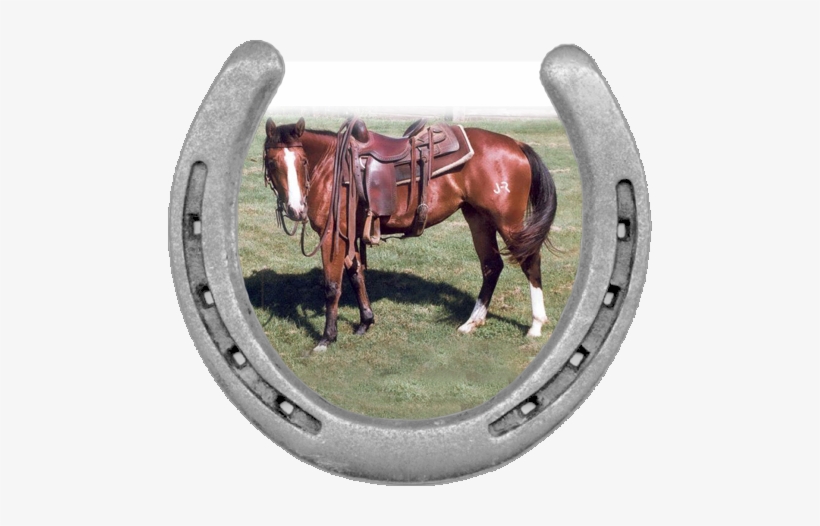 Corazon Y Alma - Sorrel, transparent png #4187191