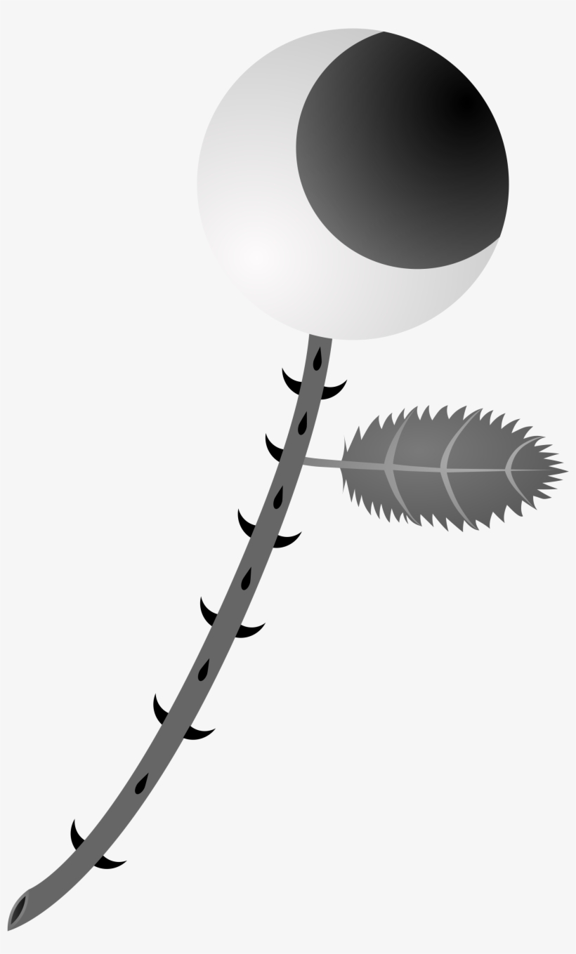 Open - Circle, transparent png #4187757