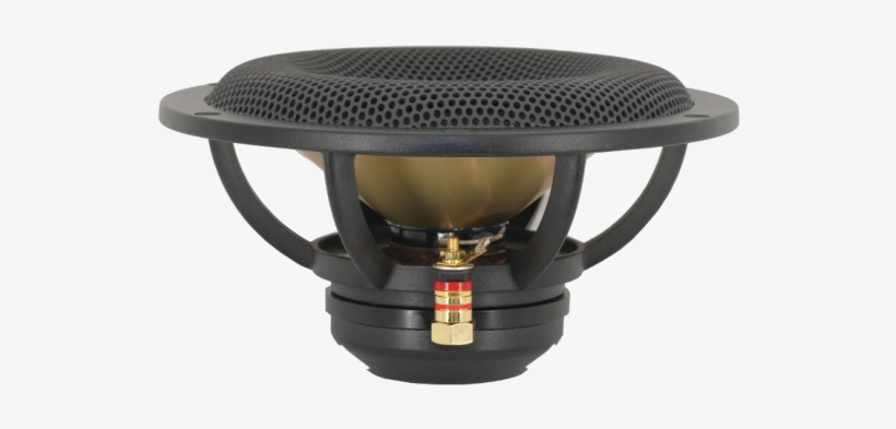 Side 750px - Spiderless Speaker, transparent png #4188408