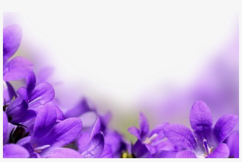 Spring Flower Flower Border Official Psds - Flowers With Love Words, transparent png #4188664