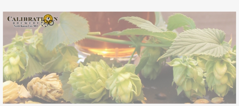 Beer, transparent png #4188749