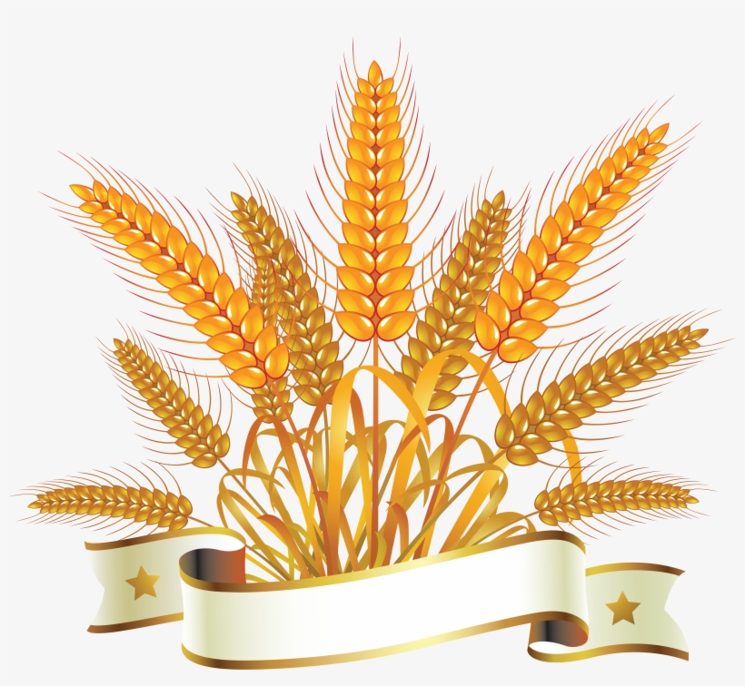 Clipart Wheat Png, transparent png #4189226