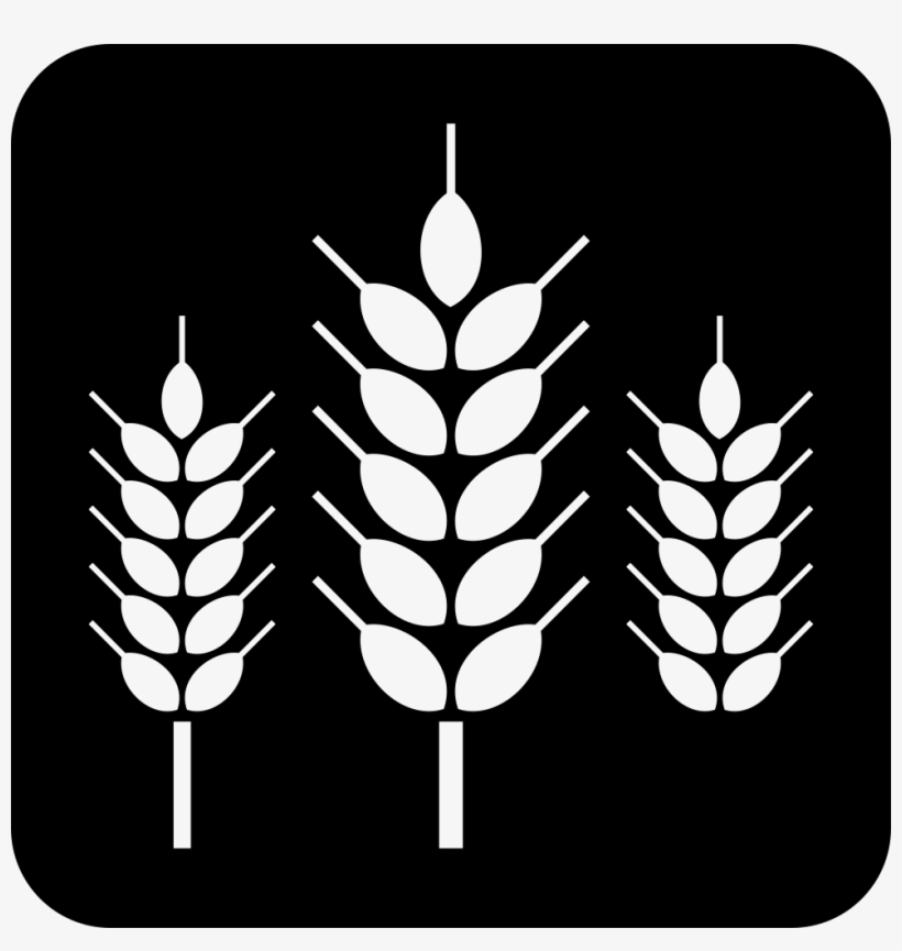 Png File - Laguna Beach Beer Company Logo, transparent png #4190883