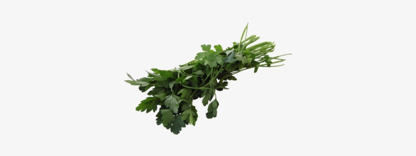 Perejil Crespo 30 G - Parsley, transparent png #4190916