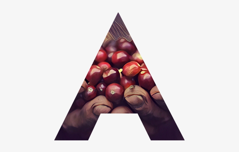 Appreciation Class - Cherry, transparent png #4191113