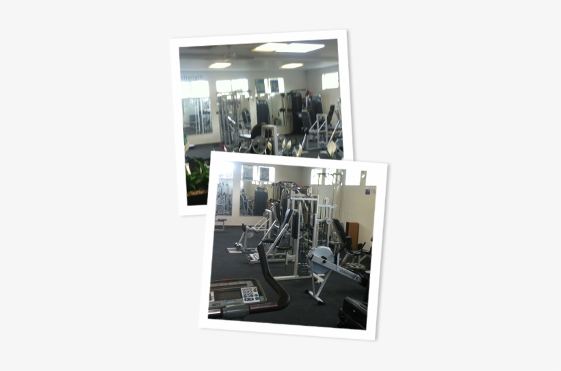 Our Packages - Gym, transparent png #4191241