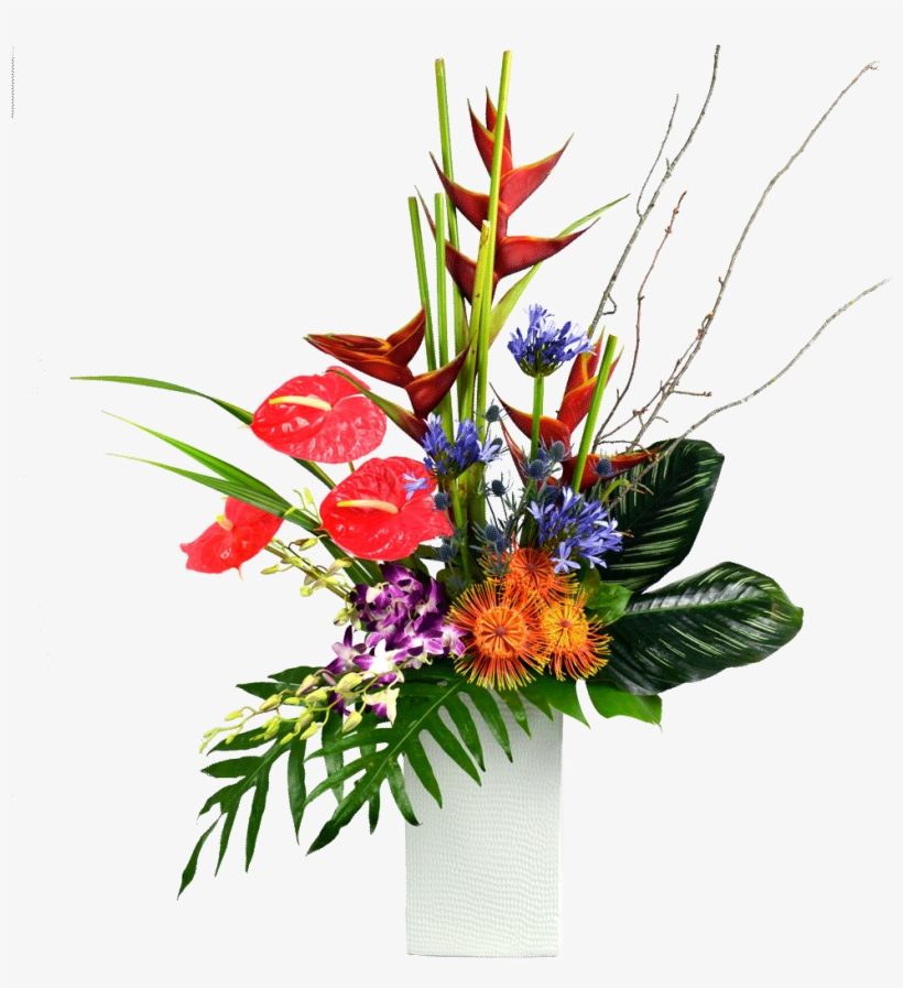 Holiday, transparent png #4191569