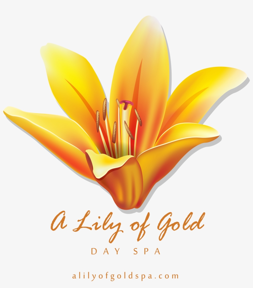 B888e4 D 5600 8000 S 4 2 - Hempz Yuzu & Starfruit Instant Sunless Bronzing, transparent png #4191623