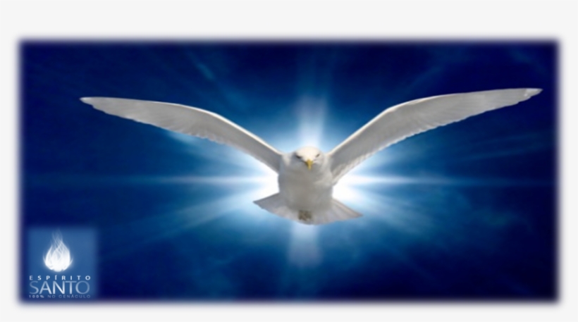 Aparecerá Várias Respostas, Inclusive, O Significado - Holy Spirit, transparent png #4191624